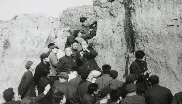 知識(shí)科普：第三次全國(guó)土壤普查的重要意義